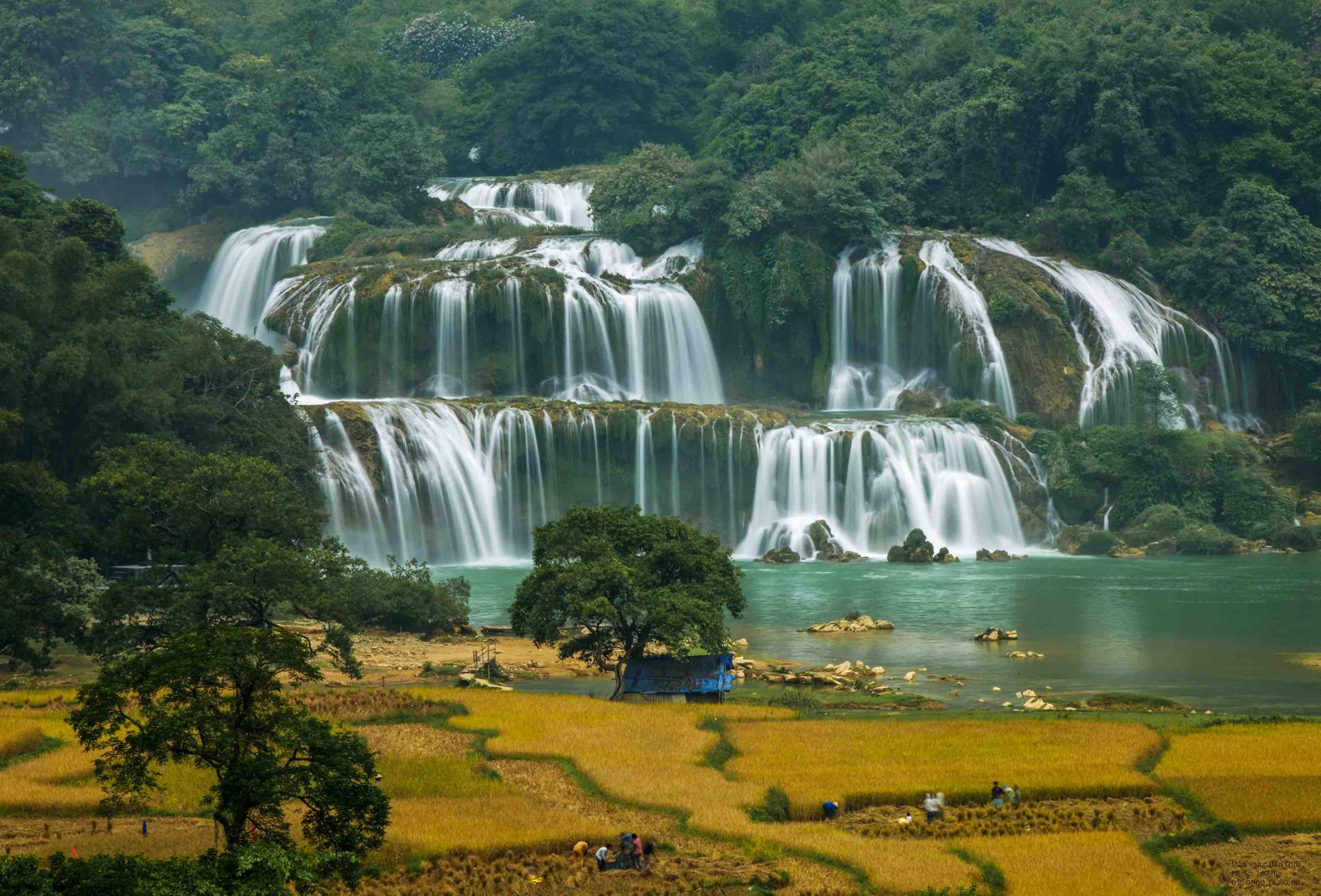 Hạnh phúc ngày mùa