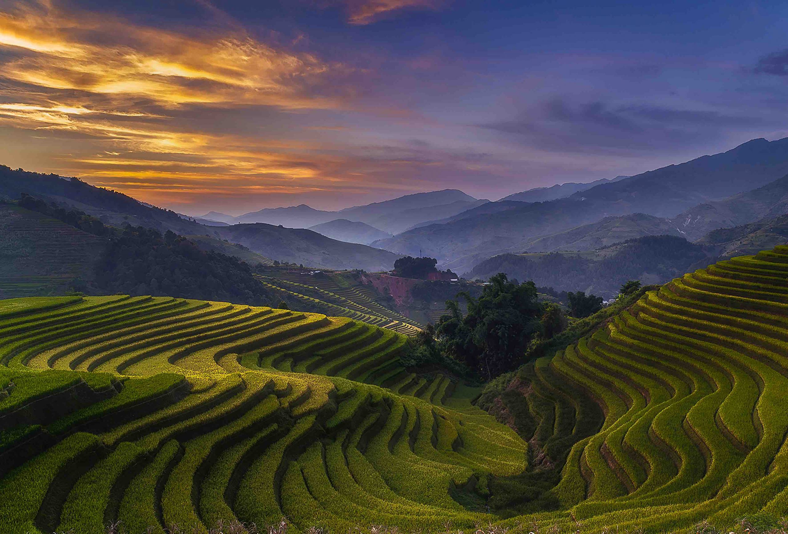 Hạnh phúc ngày mùa