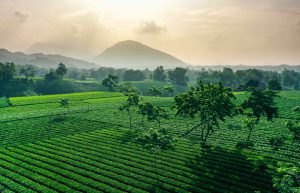 Xứ sở xanh Đại Từ