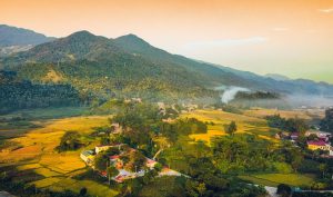 Explore Tay Con Linh