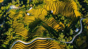 Người Dao ở Tây Côn Lĩnh