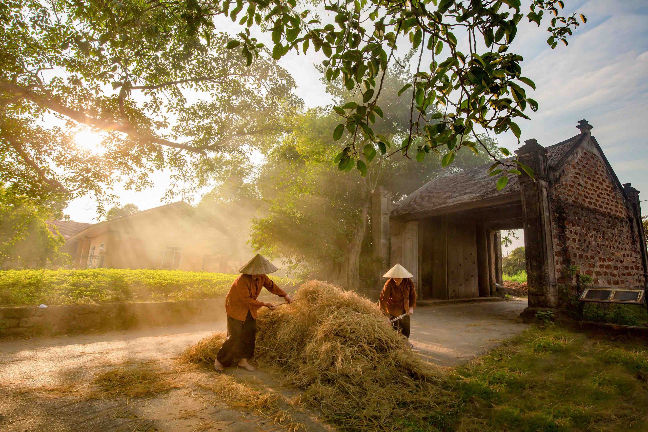 Nắng quê