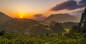 Đi tìm kho báu của rừng già