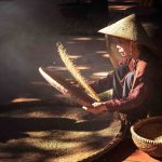 Nắng quê