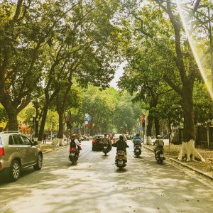 Tuổi đôi mươi mùa lá bay Hà Nội