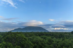 Venturing into Ta Kou Forest