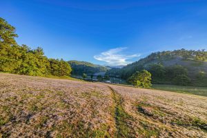 Mùa đẹp nhất ở xứ sở ngàn hoa