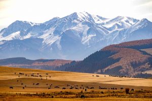 Lạc lối ở Kyrgyzstan