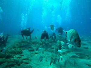 Sculptures beneath the sea