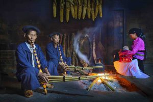 The voice of the mountains and forests