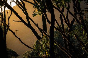 Lùng Cúng mùa đẹp nhất trong năm