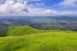 Cỏ hát giữa lưng trời