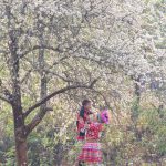 A mother’s spring