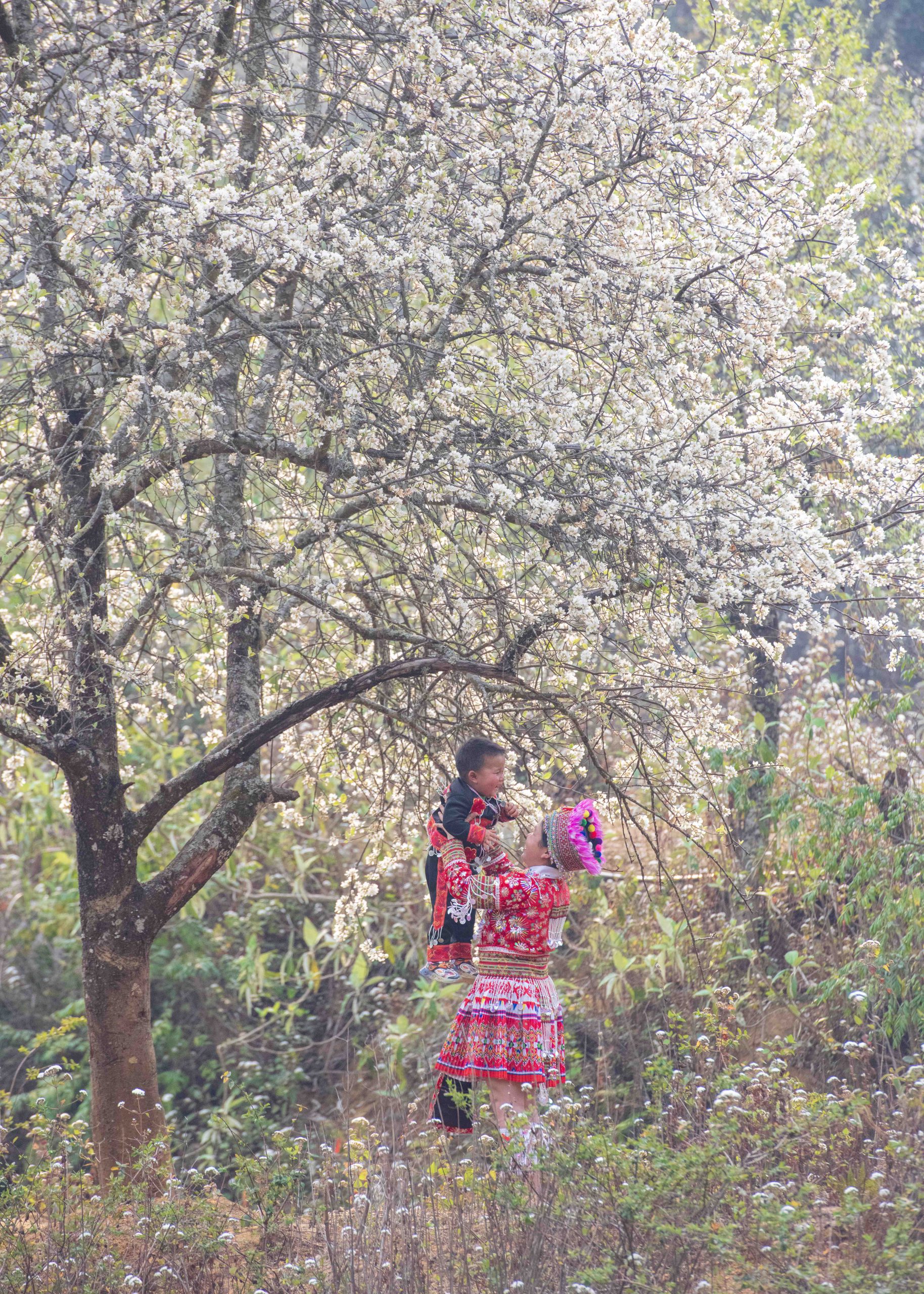 A mother’s spring
