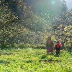 A mother’s spring