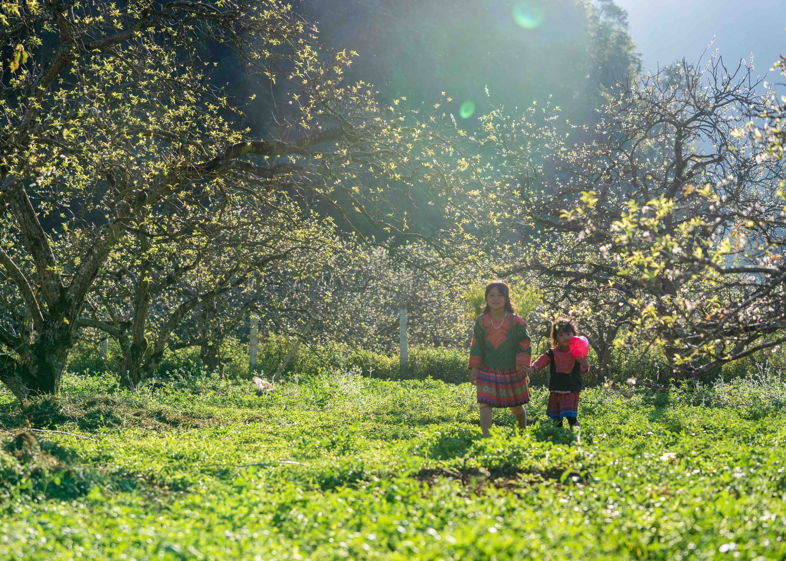 A mother’s spring