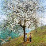 A mother’s spring