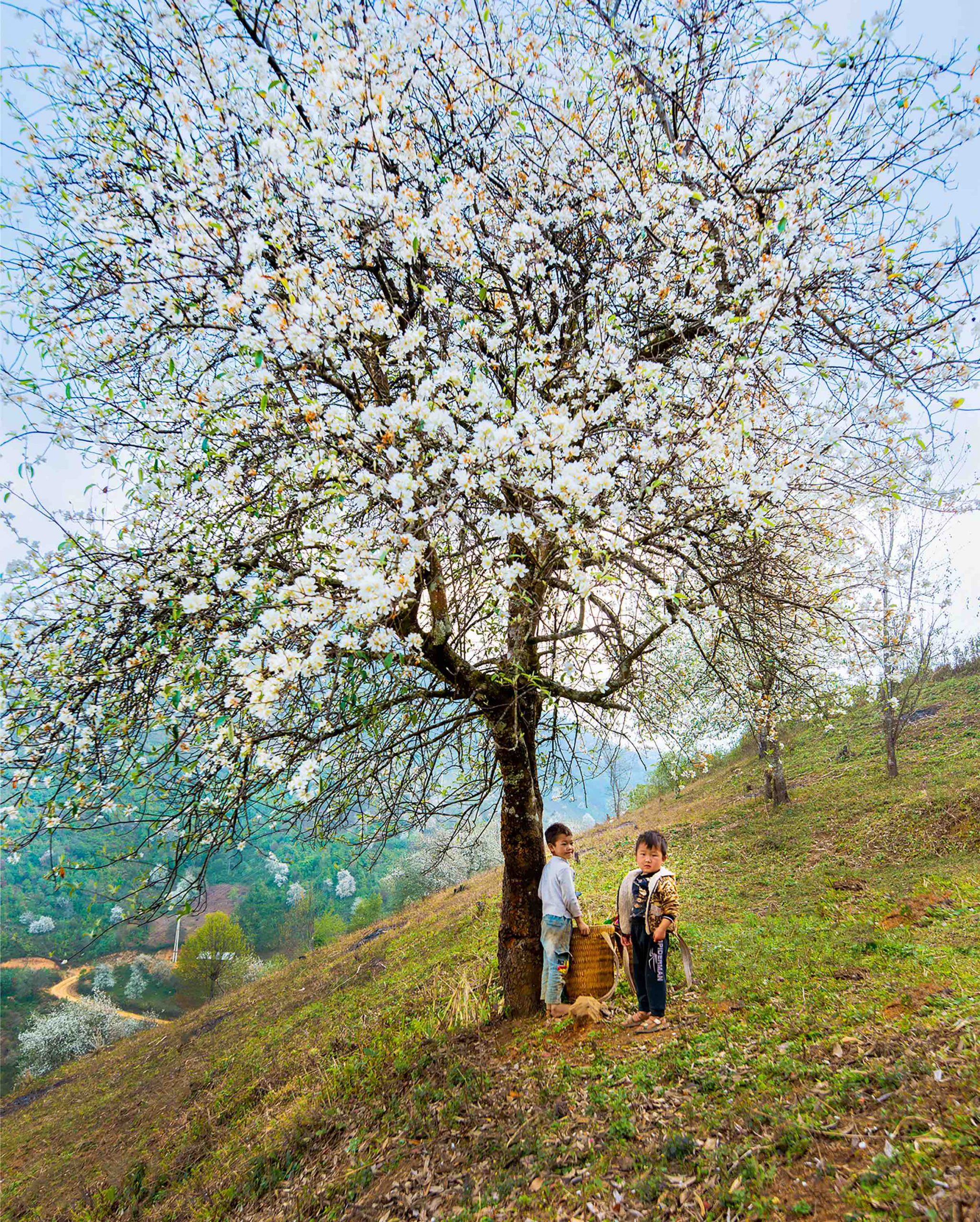 A mother’s spring