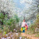 A mother’s spring
