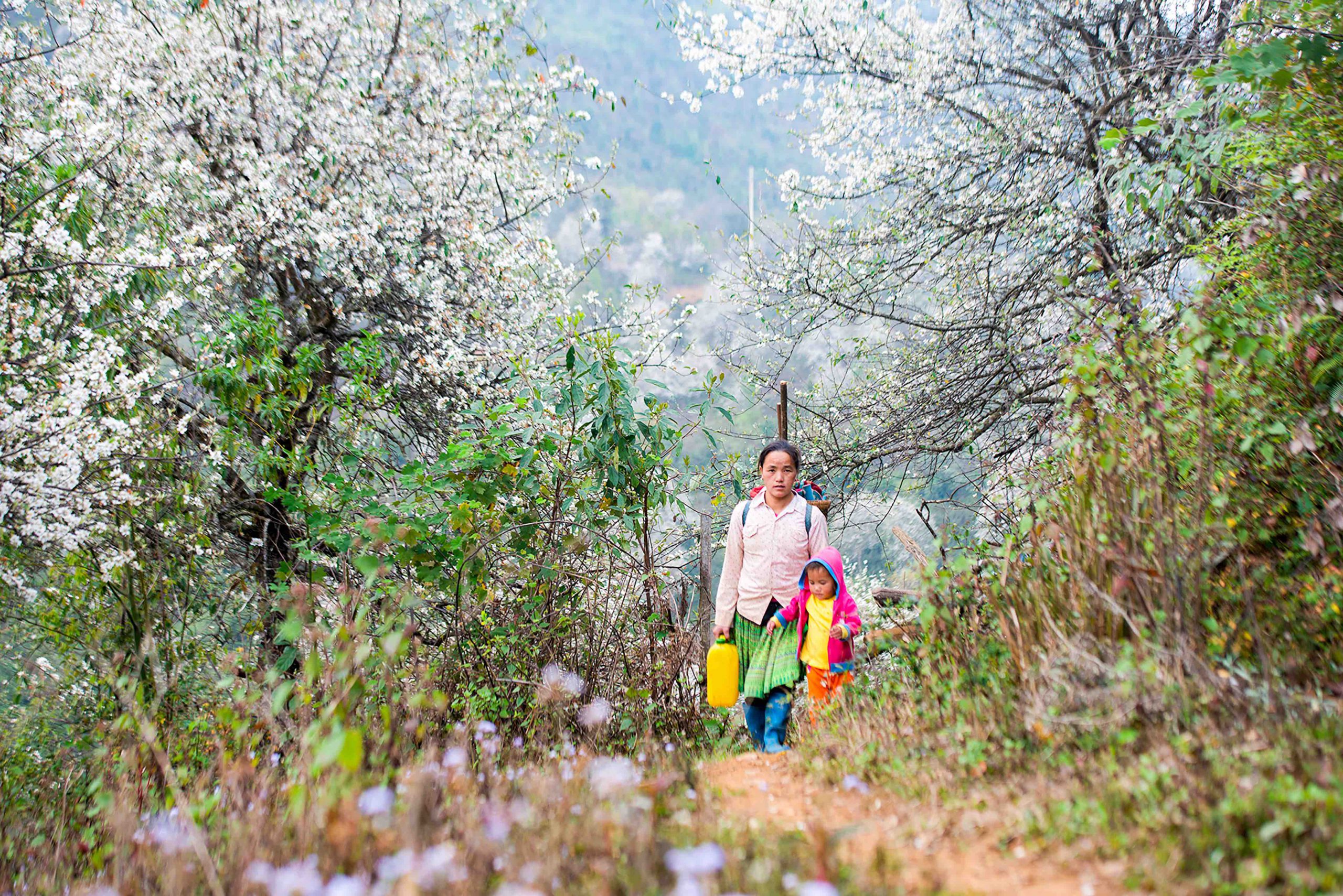 A mother’s spring