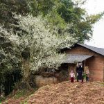 A mother’s spring