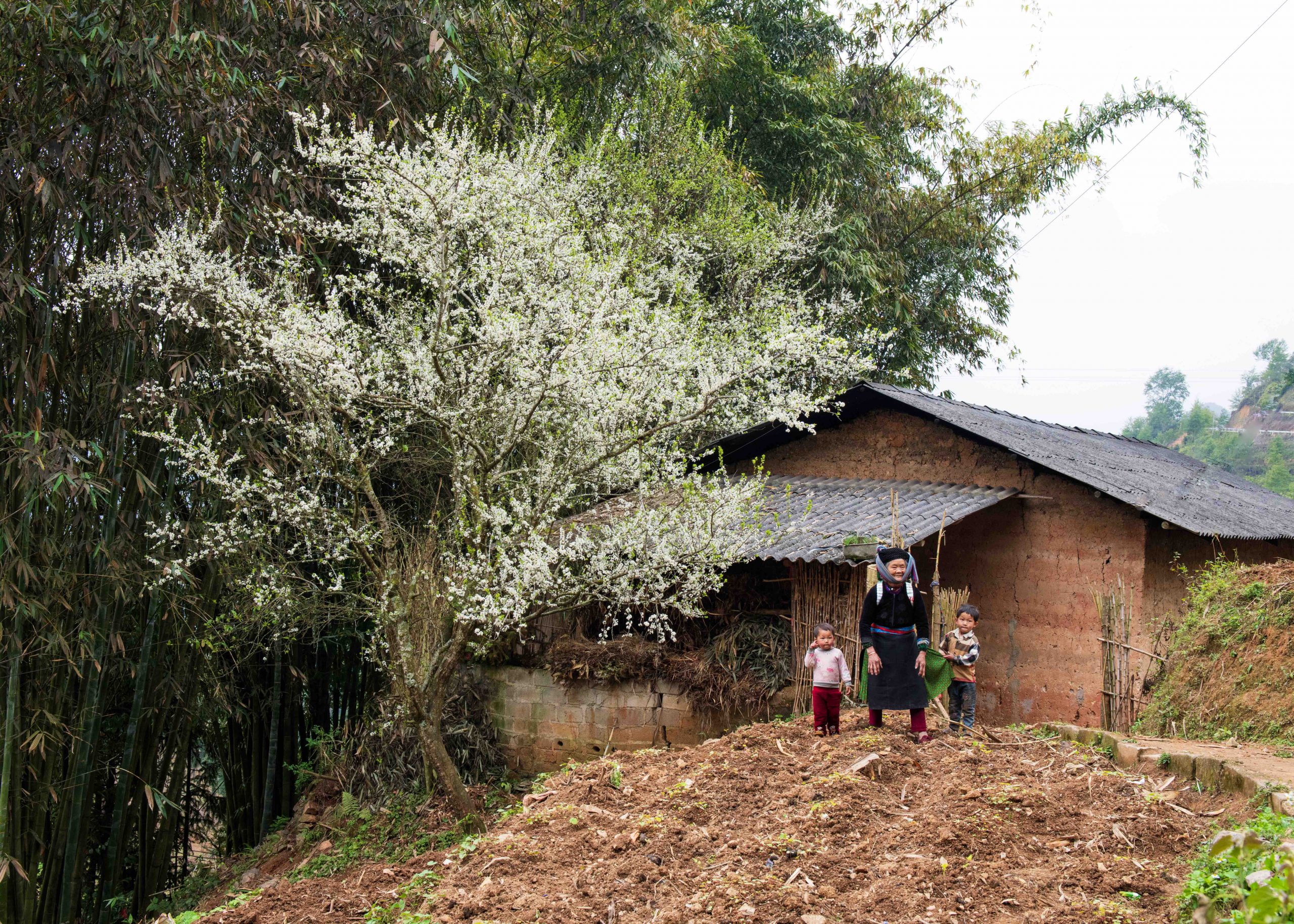 A mother’s spring