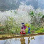 A mother’s spring