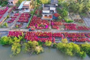 Bringing spring to every home