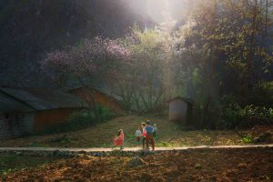 Sắc hoa miền biên viễn