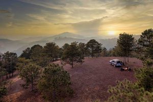 The evolution of Tet