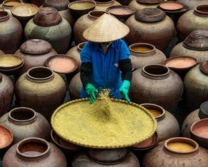 The flavor of the fields