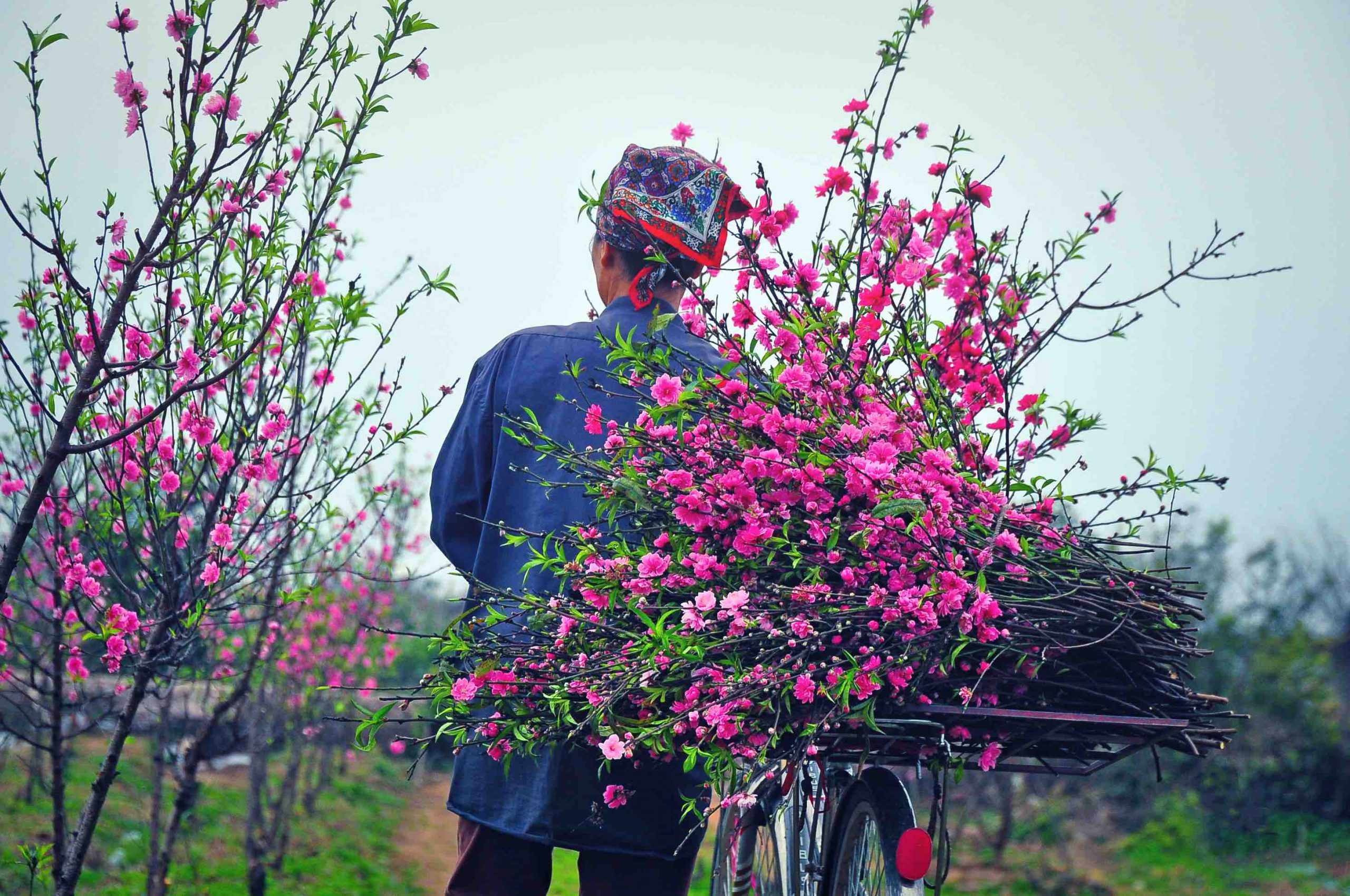 Rung cảm mùa xuân