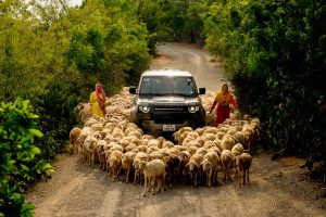 Lên rừng xuống biển với bạn đồng hành bền bỉ