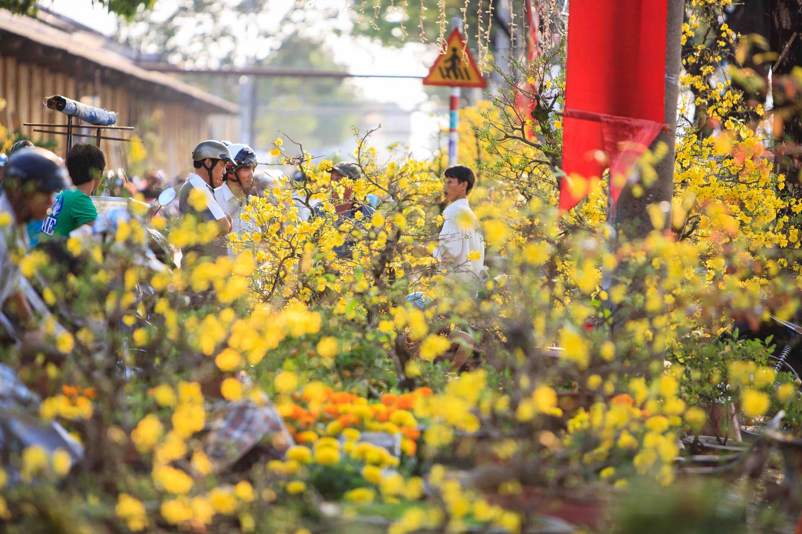 Rung cảm mùa xuân