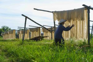 Ancient Vietnamese villages