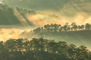 Phiêu du giữa mây mù Đà Lạt