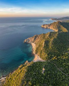 Vùng savan kì thú