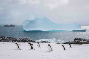 Exploring the frozen continent