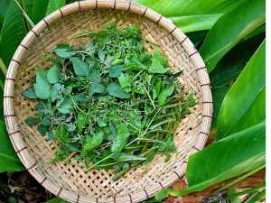 Tản mạn về rau trong món ăn miền sông nước