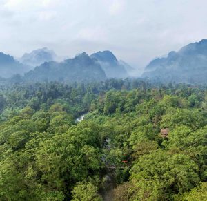 Where the green woods call