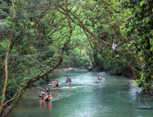 Nơi rừng xanh gọi mời