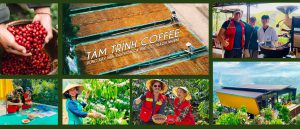 Tasting the land: Agri-tourism journeys in Lam Dong