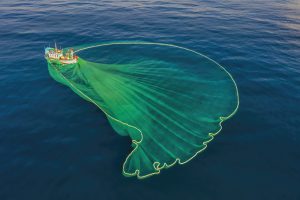 Về vùng biển biếc cùng Heritage Guide