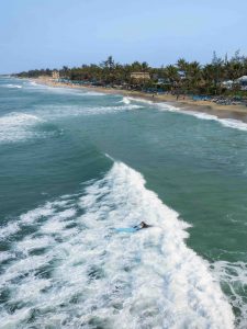 Clear calls of the sea