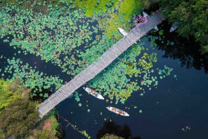 Miền Tây mùa hè: Hành trình tìm về sự giản dị