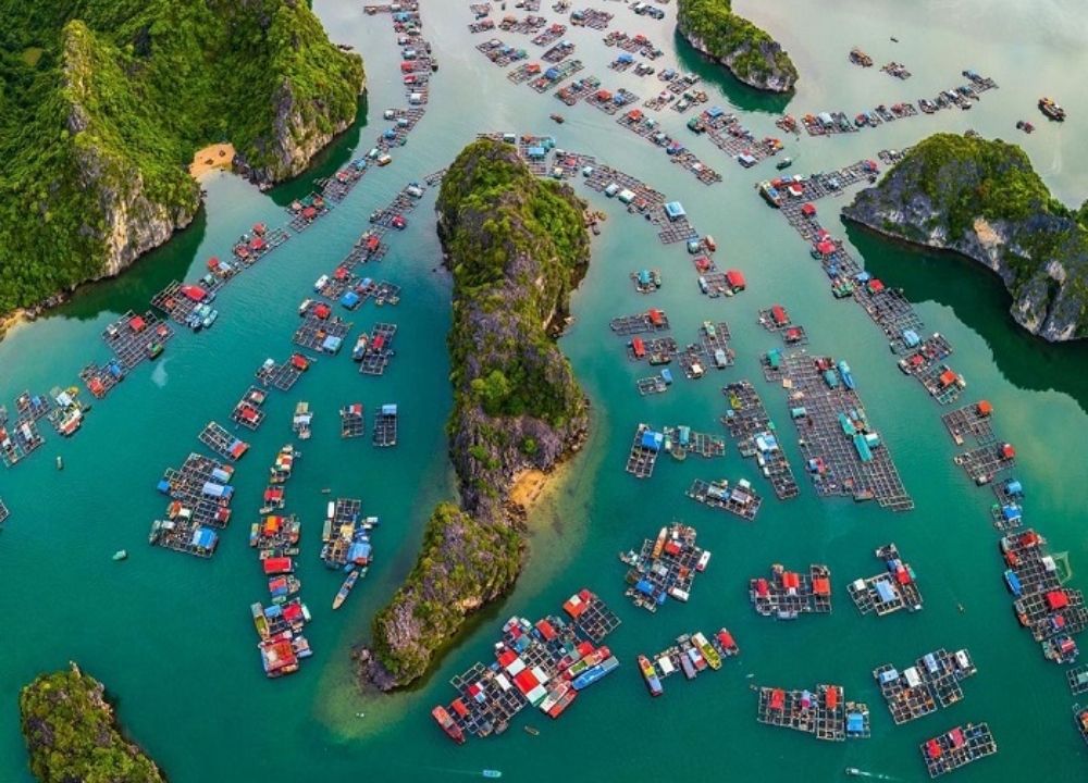 Làng chài Cái Bèo – nơi chứa đựng dấu ấn văn hóa biển cổ xưa