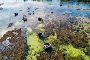 Nét truyền thống giữa lòng biển xanh