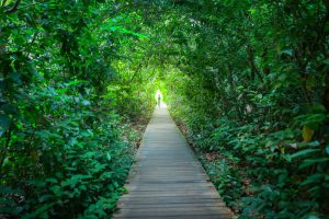 Thong dong giữa lòng thành phố nhộn nhịp