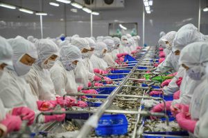 Seafood exports: Strong growth, billion-dollar revenue