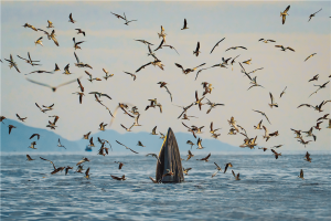 Kết quả Giải thưởng Nhiếp Ảnh Heritage – Hành Trình Di Sản 2025